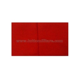 Fascia da Braccio Partito Nazista NSDAP