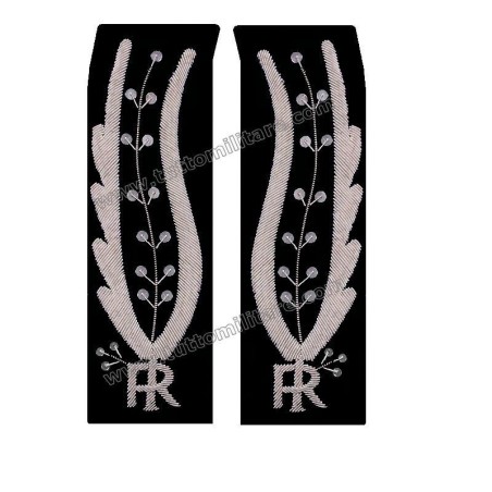 Alamari Gala Funzionario Polizia Penitenziaria