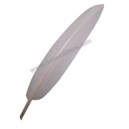 Penna Rigida Bianca per Cappello Alpino Ufficiali Superiori e Generali