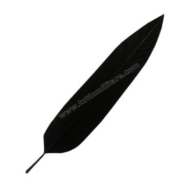 Penna Nera Flessibile d'Aquila per Cappello Alpino