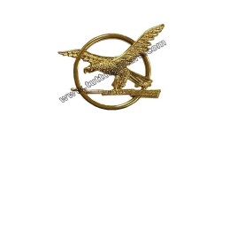 Distintivo ATPI GdF Guardia Finanza