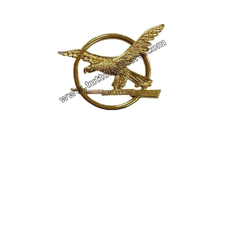 Distintivo ATPI GdF Guardia Finanza