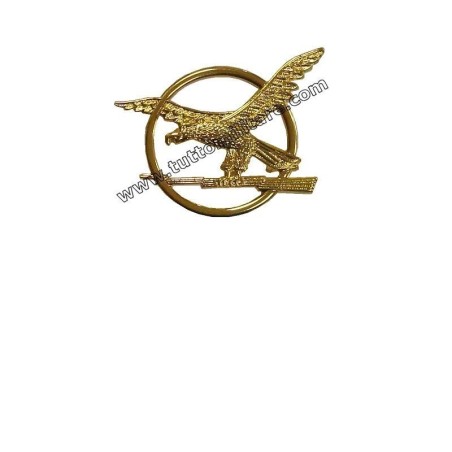 Distintivo ATPI GdF Guardia Finanza