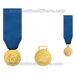 Medaglia Oro al Valore Militare