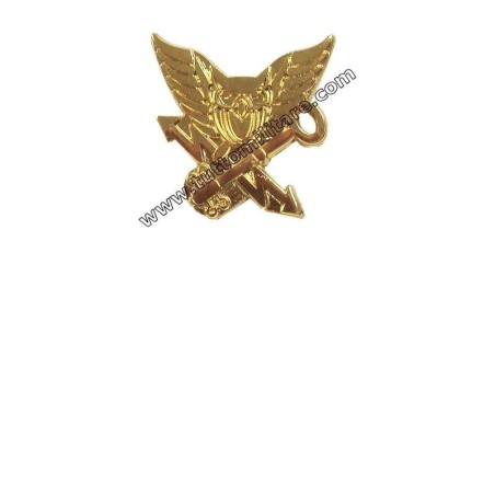 Distintivo Intelligence Interforze Italia