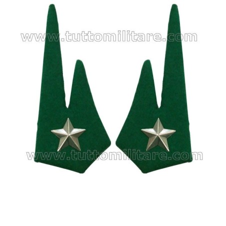 Mostrine in Panno Verde Alpini