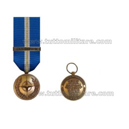 Medaglia Eagle Assist Article 5 NATO