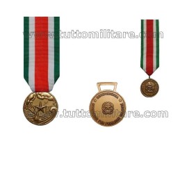 Medaglia Pubbliche Calamità Naturali