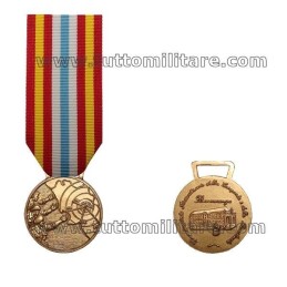 Medaglia Terremoto Irpinia Basilicata