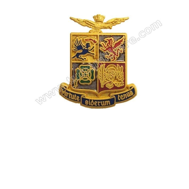 Pin Araldico Aeronautica Militare