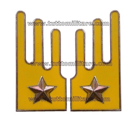 Mostrine 4° Genova Cavalleria