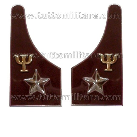 Mostrine Ufficiali Psicologi