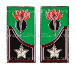 Mostrine Genio Guastatori Alpini