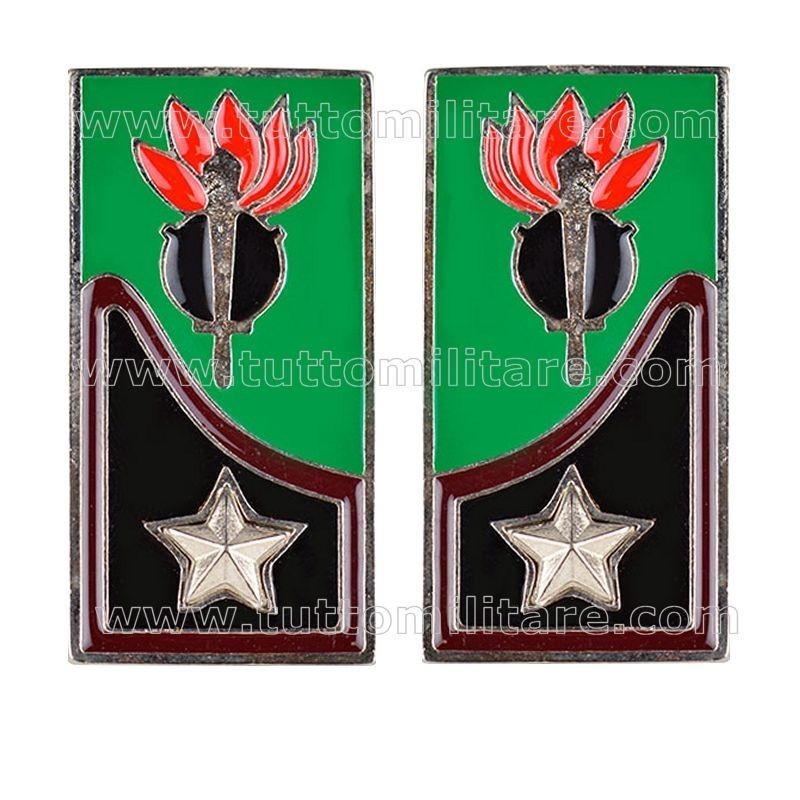 Mostrine Genio Guastatori Alpini