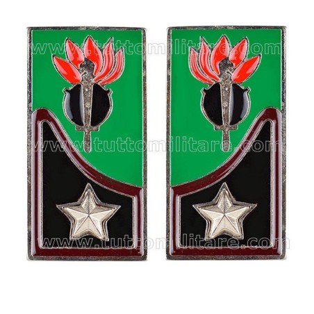 Mostrine Genio Guastatori Alpini