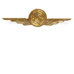 Distintivo Categoria Controllo Spazio Aereo