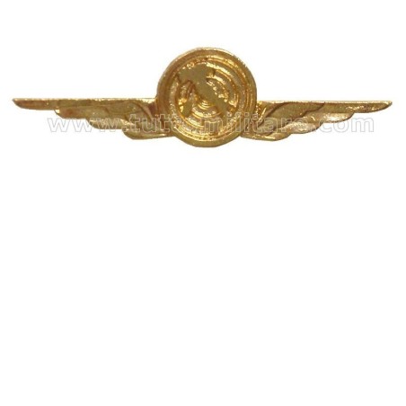 Distintivo Categoria Controllo Spazio Aereo