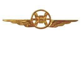 Distintivo Categoria Elettronica Aeronautica