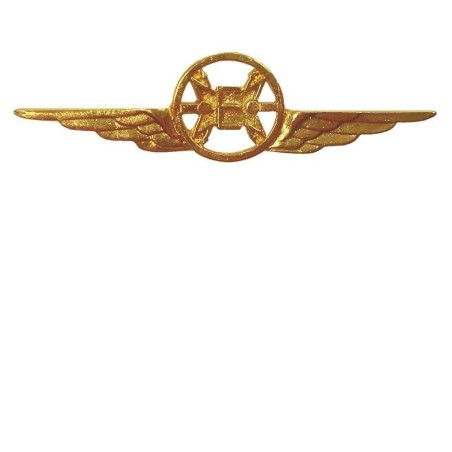 Distintivo Categoria Elettronica Aeronautica
