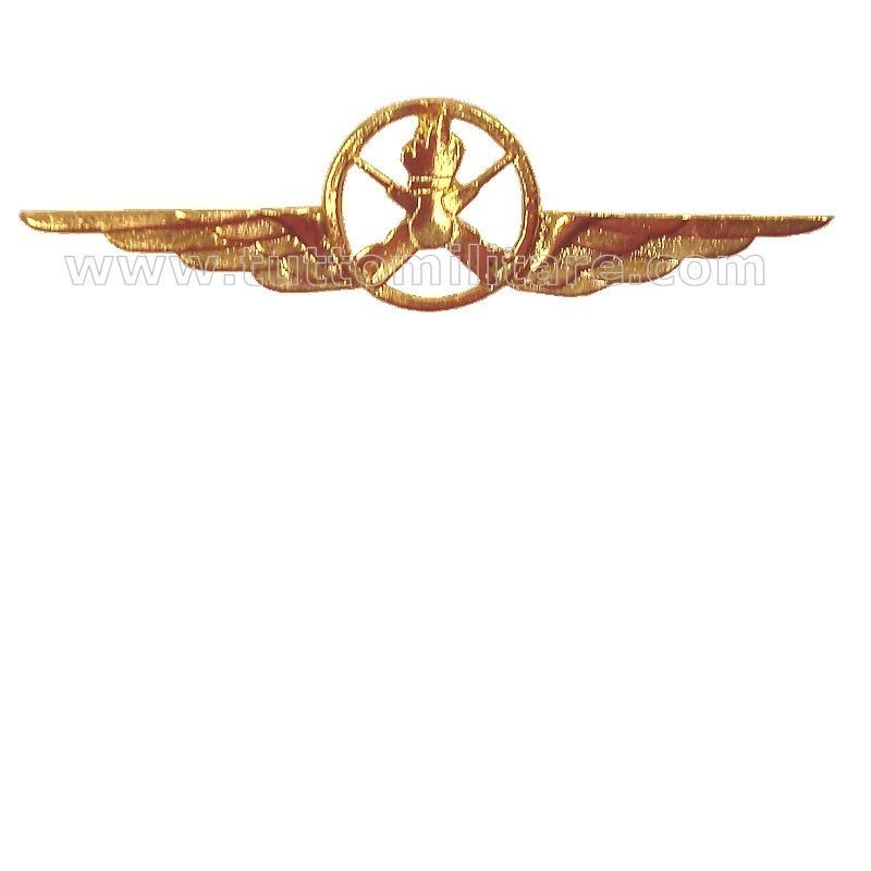 Distintivo Categoria Armamento Aeronautica