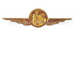 Distintivo Categoria Infrastrutture Aeronautica