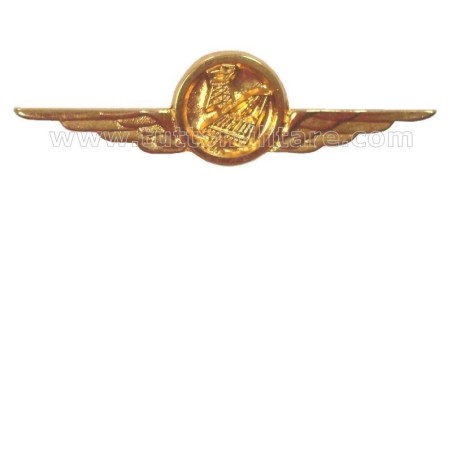 Distintivo Categoria Infrastrutture Aeronautica