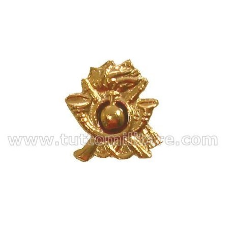 Distintivo Storico Bersaglieri