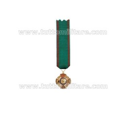 Medaglia Gala Ufficiale OMRI