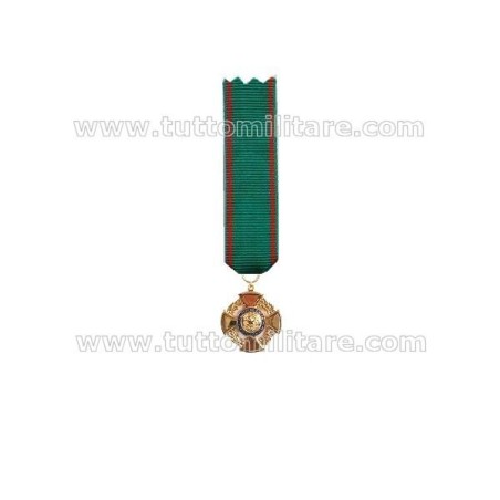 Medaglia Gala Ufficiale OMRI