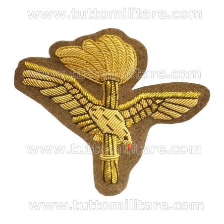 Fregio Ricamato Aviazione Leggera Esercito