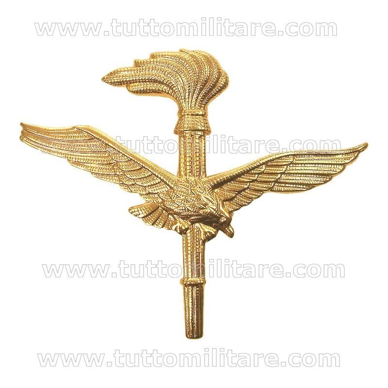 Fregio Metallo AVES Aviazione Esercito