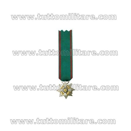 Miniatura Gala Cavaliere Gran Croce OMRI