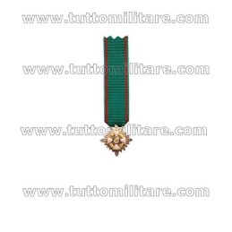 Miniatura Gala Grande Ufficiale OMRI