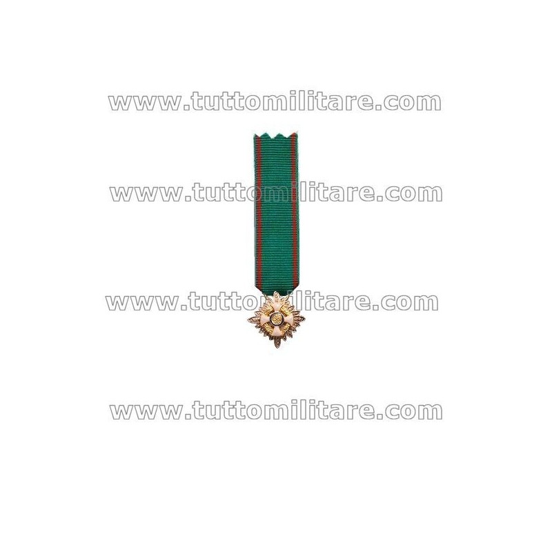 Miniatura Gala Grande Ufficiale OMRI