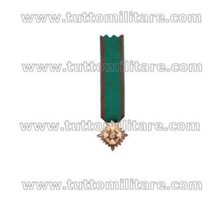 Miniatura Gala Grande Ufficiale OMRI