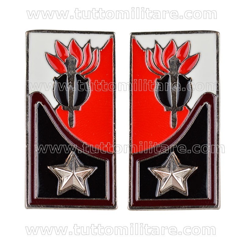 Mostrine Genio Guastatori