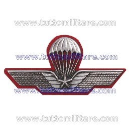 Brevetto Metallo Direttore di Lancio