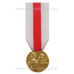 Medaglia Benemerenza Prima Classe Croce Rossa