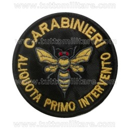 Aliquota Primo Intervento Carabinieri Bassa Visibilità