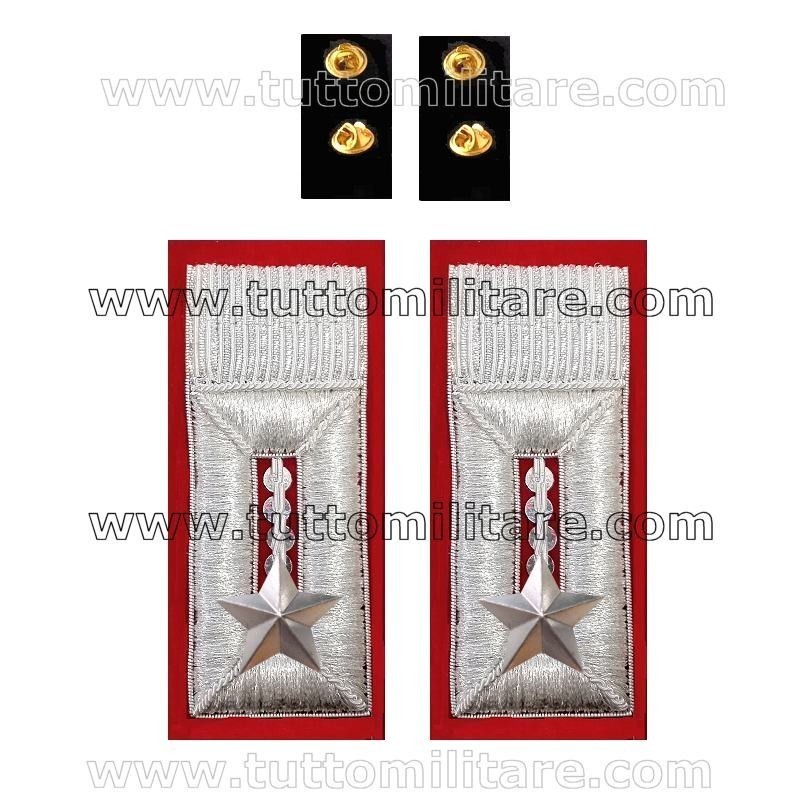 Alamari Ricamati Carabinieri con Stella Clips Posteriori