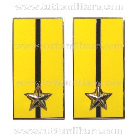 Mostrine Divisione Acqui