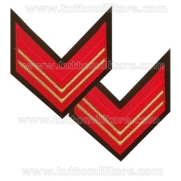 Gradi Gala Appuntato Scelto Gdf