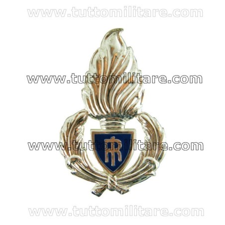 Fregio Basco Polizia Penitenziaria