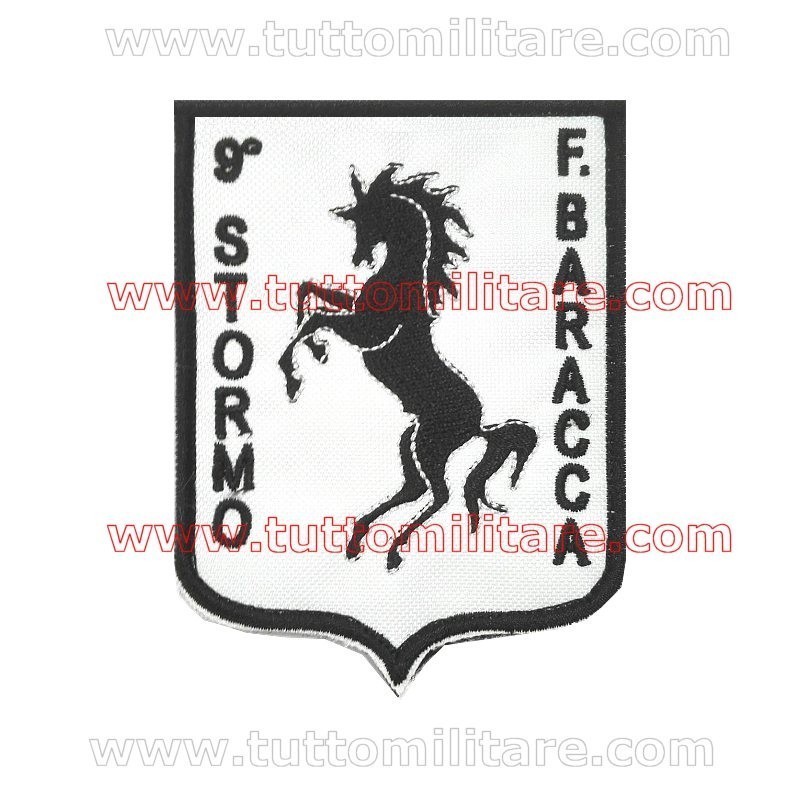 Patch 9° Stormo F. Baracca