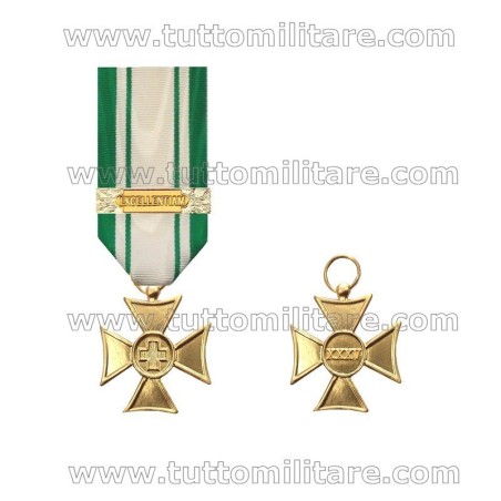 Croce di Anzianità Eccellenza 35 Anni Personale Non Mobilitabile CRI