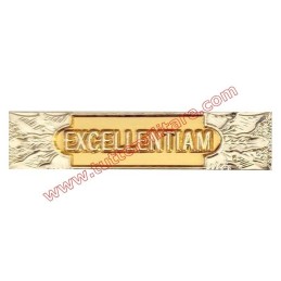 Croce di Anzianità Eccellenza 35 Anni Personale Non Mobilitabile CRI