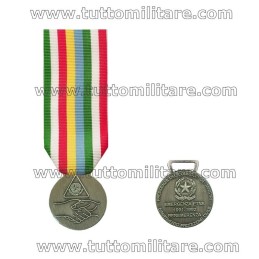 Medaglia Emergenza Etna 1991-1992