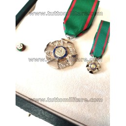 Set Ufficiale Ordine Merito Repubblica Modello di Conformità