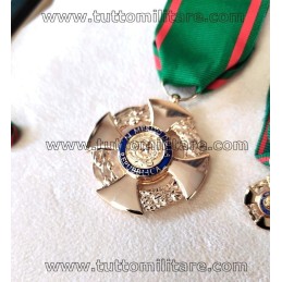 Set Ufficiale Ordine Merito Repubblica Modello di Conformità