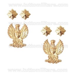 Gradi Metallo Vice Commissario Polizia di Stato